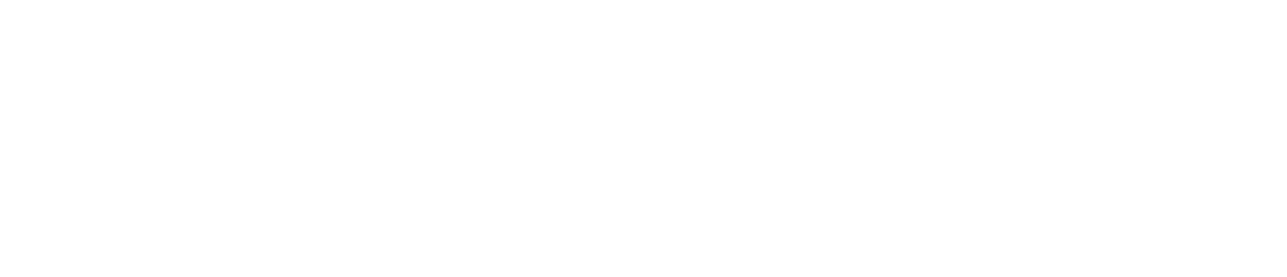 News Life