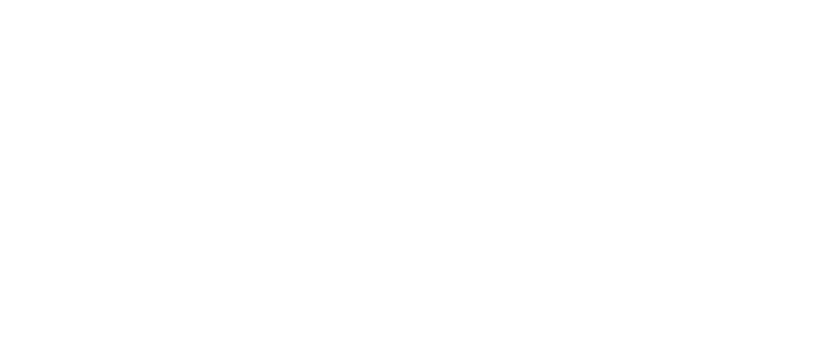 Mini India